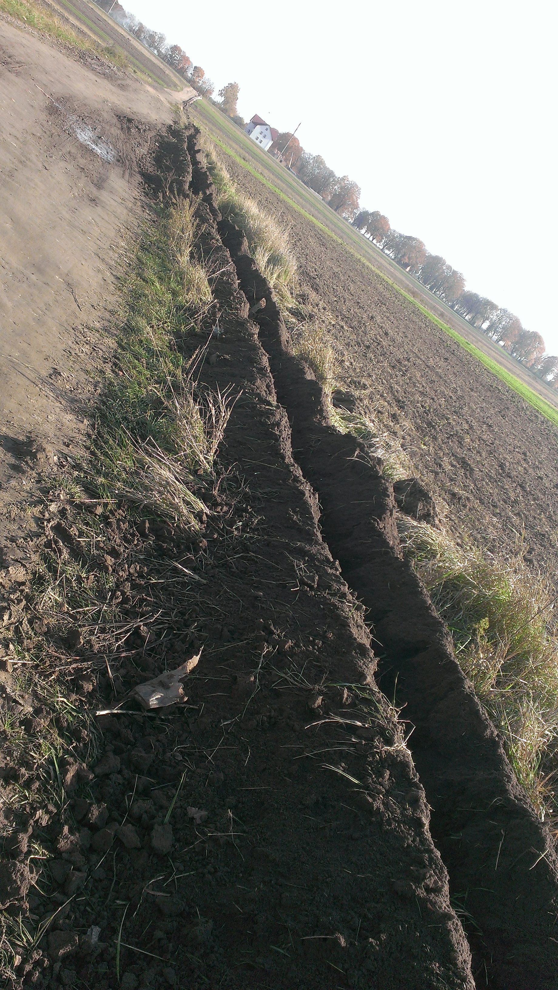 Надаємо послуги траншеєкопача та снігоочисника м. Рівне