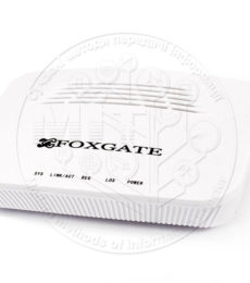 Абонентський термінал FoxGate ONU NR1001