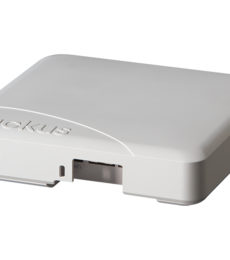 Ruckus ZoneFlex R500